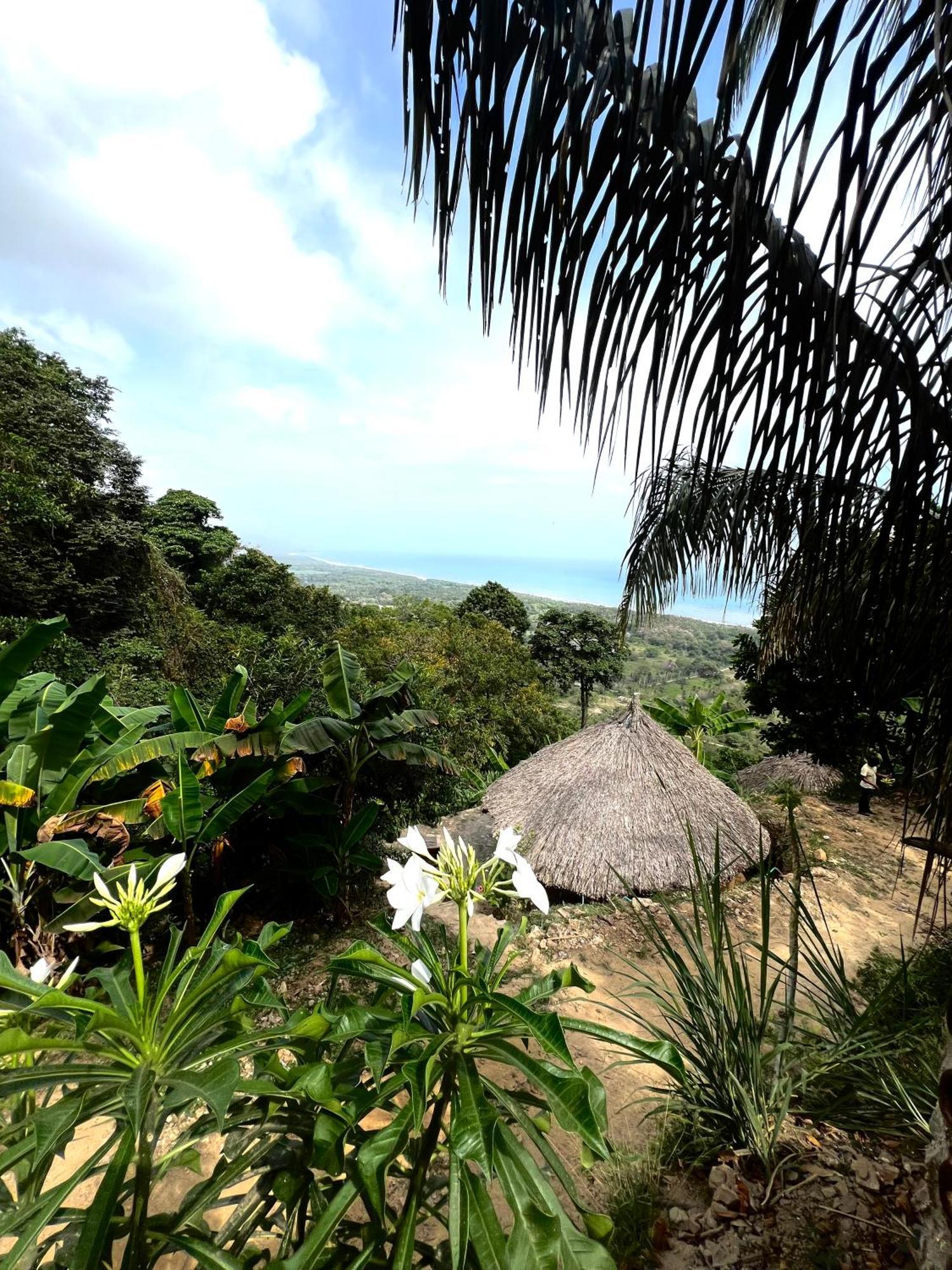 Puerto Alto Hotel Buritaca Bagian luar foto